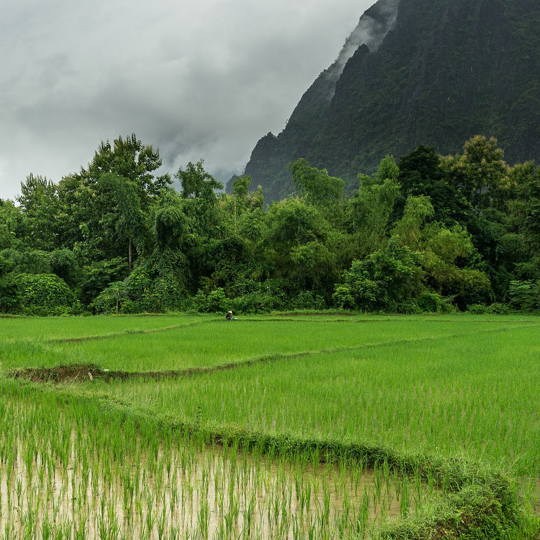 Vang Vieng, Laos